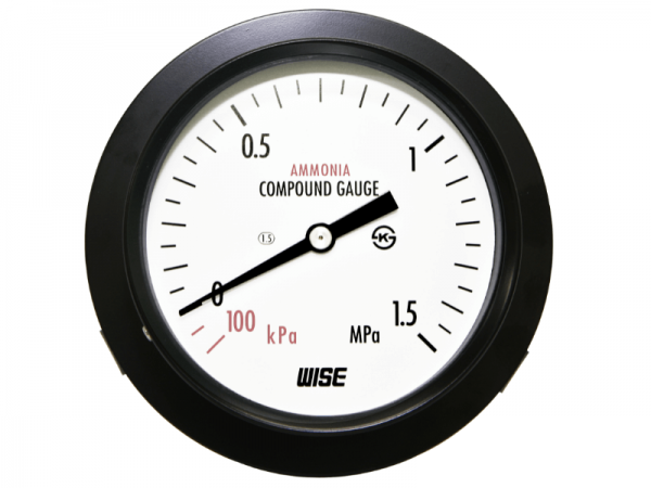 Đồng hồ áp suất Wise P111 - 1